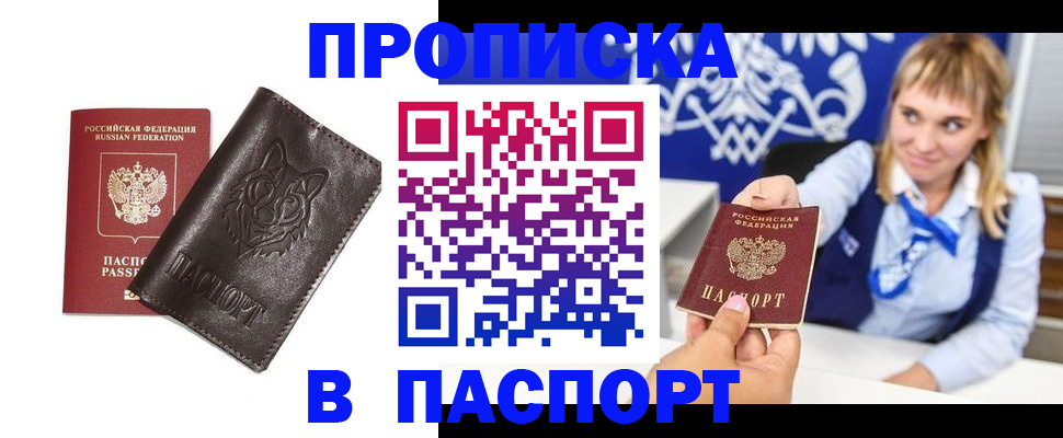 где прописаться в Щёлково